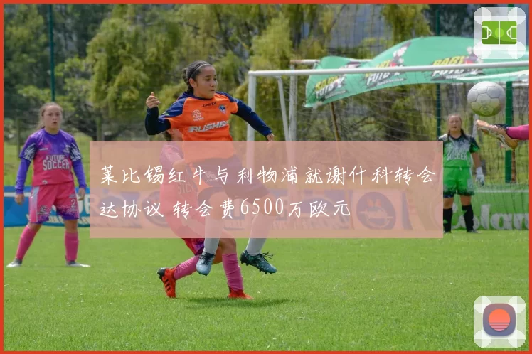 莱比锡红牛与利物浦就谢什科转会达协议 转会费6500万欧元