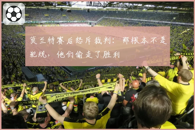 莫兰特赛后怒斥裁判:那根本不是犯规,他们偷走了胜利