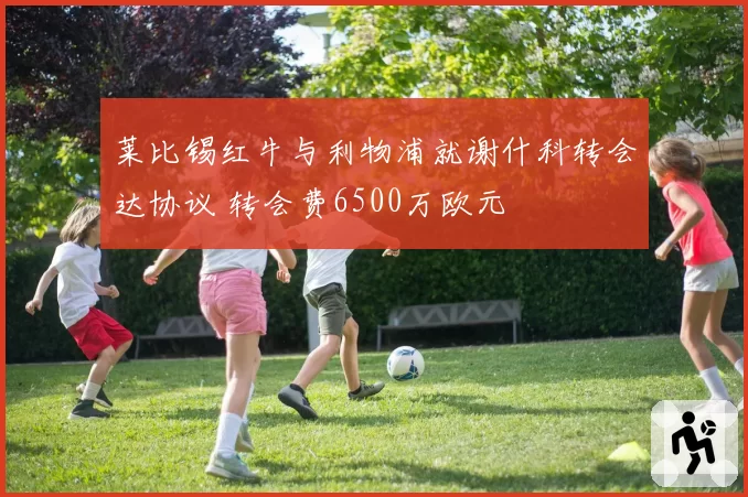 莱比锡红牛与利物浦就谢什科转会达协议 转会费6500万欧元